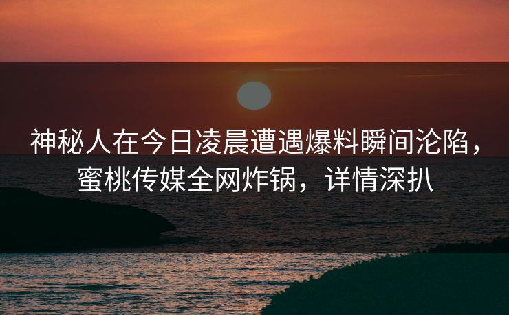 神秘人在今日凌晨遭遇爆料瞬间沦陷，蜜桃传媒全网炸锅，详情深扒