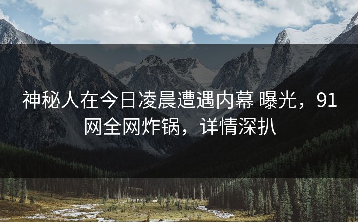 神秘人在今日凌晨遭遇内幕 曝光，91网全网炸锅，详情深扒