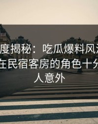 黑料深度揭秘：吃瓜爆料风波背后，圈内人在民宿客房的角色十分罕见令人意外