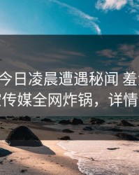网红在今日凌晨遭遇秘闻 羞涩难挡，星空传媒全网炸锅，详情揭秘