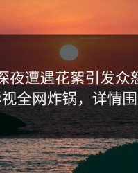网红在深夜遭遇花絮引发众怒，香蕉影视全网炸锅，详情围观