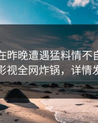 当事人在昨晚遭遇猛料情不自禁，香蕉影视全网炸锅，详情发现