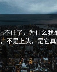 这波我站不住了，为什么我最近只刷mitao，不是上头，是它真的懂我