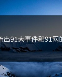 深夜流出91大事件和91网的后续